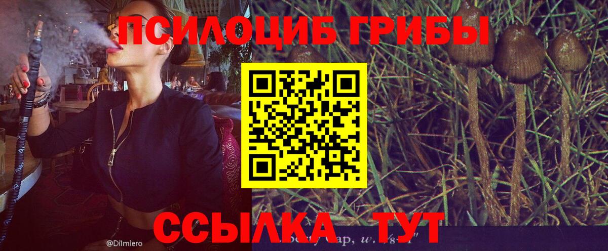Ульяновск  Псилоцибиновые грибы GOLDEN TEACHER  Вход с VPN 