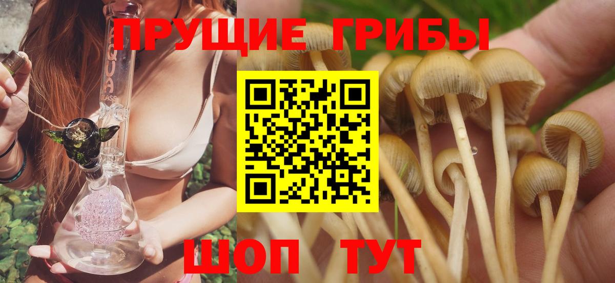 Галлюциногенные грибы MAGIC MUSHROOMS Ульяновск